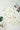 5860b689-2f4d-40bf-9c27-9a358850a6ca-Max-Origin