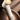 58871886-fbec-422e-b155-610120978e6b-Max-Origin