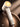 58871886-fbec-422e-b155-610120978e6b-Max-Origin