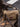 591a42c5-30ee-42cb-b4d7-8c865699d8ab-Max-Origin