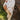 5a91a6be-41d5-45e0-ab11-fc25697c6a27-Max-Origin