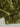 5a9de1dcbbaf41c9b8f4996c30dd54f0-Max