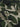 5b372a2e94f4428e8e6ee48513e92b6b-Max-Origin