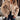 5c8b4371-2681-4470-882a-64f8d1150fdd-Max-Origin