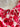5ce7a9ec-0f27-4063-9afb-3a13f653766a-Max-Origin