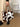 5cfe9fa4-b6ec-4888-a126-74abfd1286c1-Max-Origin