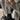 5d3ab83b-4b10-48ca-bb3d-9d5b6e06f80a-Max-Origin