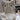 5d736e3a73e64bdc85779a6f49348dce-Max-Origin