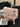 5d87c135-a279-4a72-85a0-d4080d92982a-Max-Origin