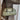 5e2498febd784118af2e9b1df937ecb3-Max-Origin