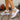 5f0634b3-1ac9-4537-ba75-f3d9b94a527b-Max-Origin
