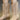 5f67a209-e5bb-4890-aff9-09ab3737fd86-Max