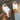 6173b5ab97cc42c1b93035a26842cf70-Max-Origin