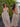 6202d7e9-ec8c-413e-9738-c2e12268e573-Max-Origin