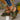 62235d3a-3210-411a-b40e-5d9ef3284f40-Max-Origin