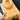 63bd632a280e497b99bb80559bade29b-Max-Origin
