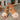 6513031a-fcc6-41a2-82a9-1d61df0f53a2-Max-Origin