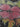 651b65e8-1706-4f18-b010-c3ed68f3697f-Max-Origin