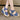 65a8168d-c09e-44d7-a5be-c3732c941d91-Max-Origin