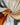 67c5ef7d6cd34309a85ffefe939d6084-Max-Origin