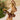 692427228c274c19a6cfeecf445721cf-Max-Origin