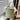 6a68ace3-105a-4a5a-82b8-0901e7d58820-Max-Origin