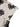 6b1cfc35efa1420f8fe1f89718cd8649-Max-Origin