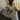 6b68d168-906c-4b1d-9f3f-fb61fc68a016-Max-Origin