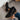 6d969a30-9645-4636-9dd6-8797f280007d-Max-Origin
