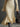 6da4d0e5-6b23-471d-96fc-9b6978c2b531-Max-Origin