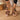 6dbdf4f8-1651-4af1-9210-e0679a5227ea-Max-Origin