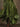 6dc84285-a950-4f08-80e6-552b5e713749-Max-Origin