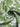 6dd87a1cbf624200929a1f5c3034d4b6-Max