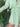 6e9b4fc3-217d-4fdd-a901-5f9e1e859f67-Max