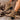 6f3926f78cbf434695f57d36783ea921-Max-Origin