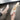 6f50319e-d1a0-42c1-b279-9b73ac202075-Max