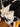 6fa79c8e-969a-407c-81fc-64357957d4d7-Max-Origin