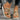 7104fd28-50be-49ba-8e30-9845f5960c83-Max-Origin