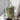 716807ca-5ff4-4ae3-989b-8a2cc97f9859-Max-Origin
