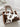 71bb8c2afff64840abb660d2e6de221d-Max-Origin