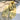 729d1d7a-e763-40dd-bd45-6564ef20cf9a-Max-Origin