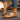 741a17e2-daeb-4246-b288-3981245ab1d2-Max-Origin
