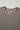 756fdeae-d72b-4318-ab1f-ee169c0e3240-Max-Origin