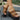 784dd73d-0cfd-4ffc-a264-0bd0746ba76a-Max-Origin