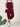 78e65777a7f441029f6355a37900f1e1-Max