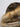 7934d2c5-e3a9-4166-88af-4b833a27439a-Max-Origin