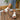 79a774c5-585f-4dcb-99b6-c47503caad62-Max