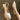 79f16c66-b967-4565-b0d3-9c835cb8e736-Max