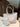 7b450979ec924918b25586f14e1c85f8-Max-Origin
