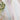 7b727ffcc5664a1ea6d44aec284363db-Max-Origin
